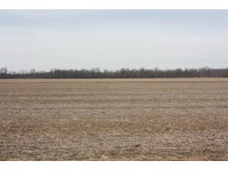 Property photo 9 - MAJOR LAND AUCTION - 541+/- Acres offered in 5 Tracts